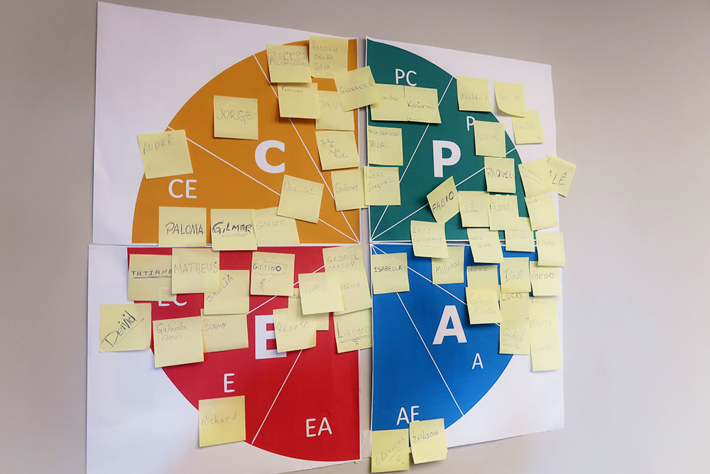 DISC Me Disse - Analise Comportamental - Destrava